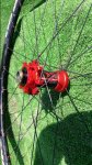 20150822_130047.jpg