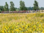 usapc15st6dp-peloton-flowers-big.jpg