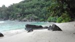 IMG_20150824_135724.jpg
