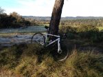 IMG_0092.jpeg