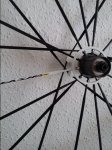 20150825_114501.jpg