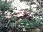 IMG-20150821-WA0002.jpg