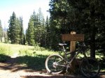 ibis colorado.jpg