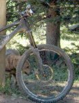 ibis%20colorado.jpg