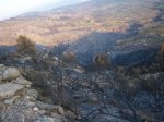 incendio 07 048.jpg