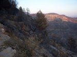 incendio 07 060.jpg
