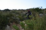 DSC02115.JPG