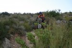 DSC02119.JPG