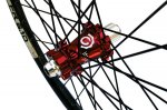 Red-Black-DH_Rear_600.jpg