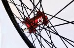 red-black-DH-front-600.jpg