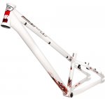 Trans07WhiteFrame3-4.jpg