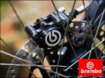 brembo-racing-mtb-disk-brakes.jpg