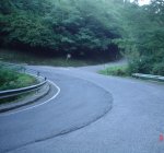 DSC01062.JPG