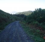 DSC01067.JPG