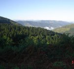DSC01068.JPG