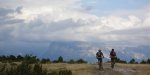 DSC01408bis.jpg