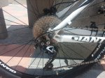 20150721_143507.jpg
