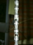 cera_11_gel.600x800.jpg