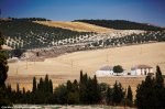 vuelta15st07-field920.jpg