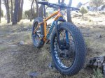 20150711_095043.jpg