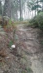 IMG-20150831-WA0002.jpg