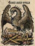 Nuremberg_chronicles_f_104r_2.png