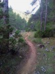 IMG_20150901_185408(0)_576x768.jpg