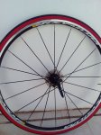 IMG-20150905-WA0002.jpg