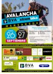 CARTEL AVALANCHA.jpg