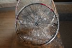 resized_platos red y ruedas fulcrum 009.jpg