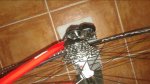 20150824_160835.jpg