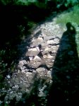 Imagen002.jpg