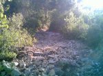Imagen003.jpg