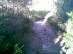 Imagen004.jpg