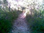 Imagen005.jpg