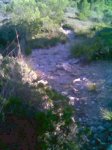 Imagen011.jpg