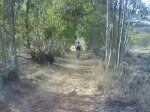 DSC00156.JPG