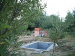 DSCN1672.jpg