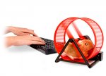 Hamster USB.jpg