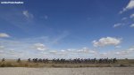 vuelta15st18-peloton-view-big.jpg
