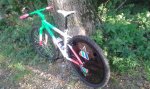 20150911_190710.jpg