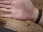 IMG_20140924_200543.jpg