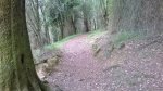 WP_20150513_001.jpg