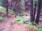 DSCN3611.JPG