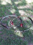 20150916_110438.jpg