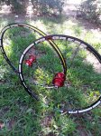 20150916_110511.jpg