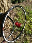 20150916_110710.jpg
