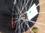 20150918_120431.jpg