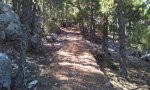 20120729_111739.jpg