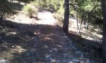 20120729_113009.jpg
